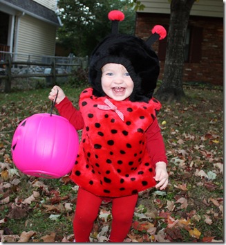 our little lady bug