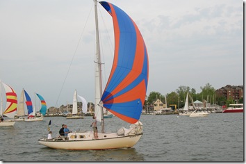 Daddy sails the spinnaker