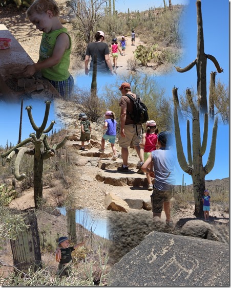 saguaro hike 3